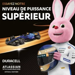 Duracell Pile Aaa-Piles alcaline AAA LR3 Optimum - lot de 8