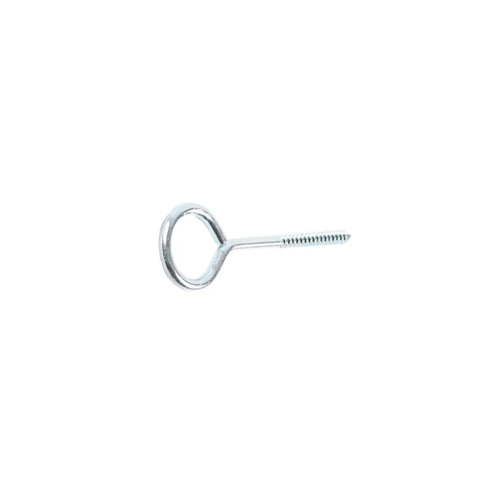 Diall Piton À Visser-Piton à vis en acier zingué 50x19 mm - 2 pièces