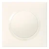 Legrand Plaque de finition 1 poste Dooxie 6 009 01 coloris blanc l.87 x P.10 x H.87 mm