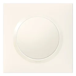 Legrand Plaque de finition 1 poste Dooxie 6 009 01 coloris blanc l.87 x P.10 x H.87 mm