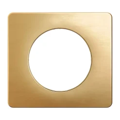 Legrand Plaque De Finition Pour Interrupteur Et Prise À Composer-Plaque de finition 1 poste Dooxie 6 008 51 coloris aluminium l.87 x P.10 x H.87 mm