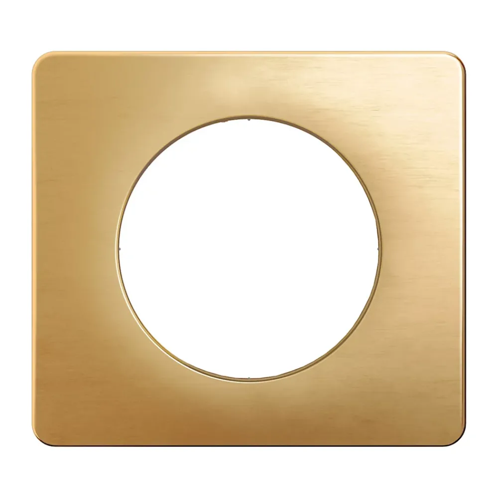 Legrand Plaque De Finition Pour Interrupteur Et Prise À Composer-Plaque de finition 1 poste Dooxie 6 008 51 coloris aluminium l.87 x P.10 x H.87 mm