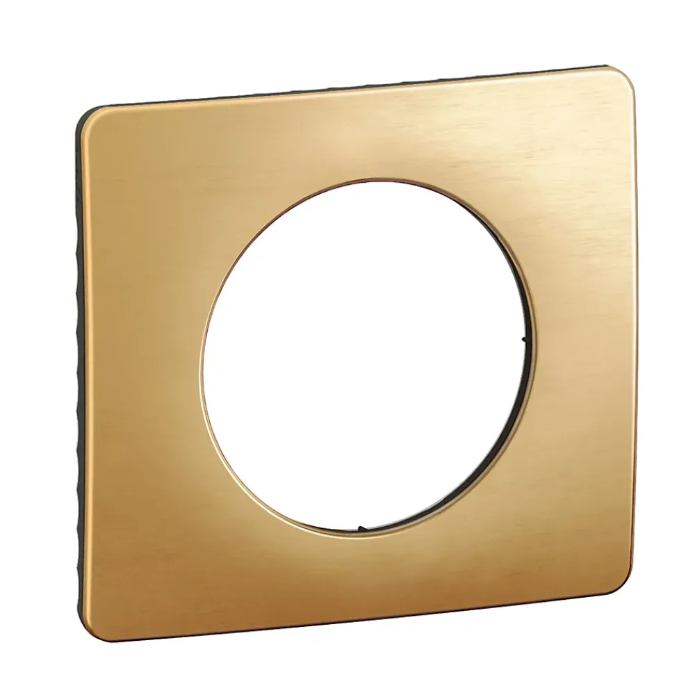 Legrand Plaque de finition 1 poste Céliane CP1221 coloris laiton satiné l.90 x P.9 x H.82 mm