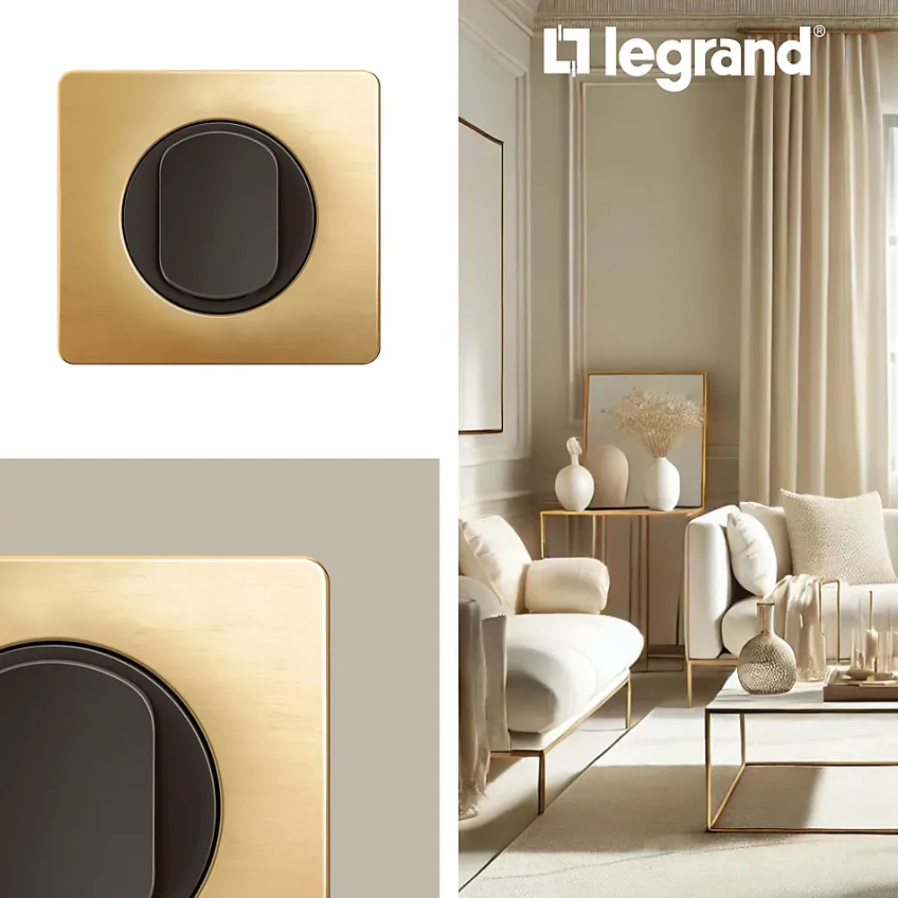 Legrand Plaque de finition 1 poste Céliane CP1221 coloris laiton satiné l.90 x P.9 x H.82 mm