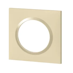 Legrand Plaque De Finition Pour Interrupteur Et Prise À Composer-Plaque de finition 1 poste Dooxie 6 008 11 coloris dune mat avec bague dune brillante l.87 x P.10 x H.87 mm