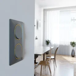 Schneider Electric Plaque de finition 1 poste Ovalis S340702E coloris anthracite avec liseré laiton l.87 x P.10 x H.87 mm