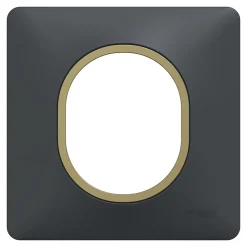 Schneider Electric Plaque de finition 1 poste Ovalis S340702E coloris anthracite avec liseré laiton l.87 x P.10 x H.87 mm