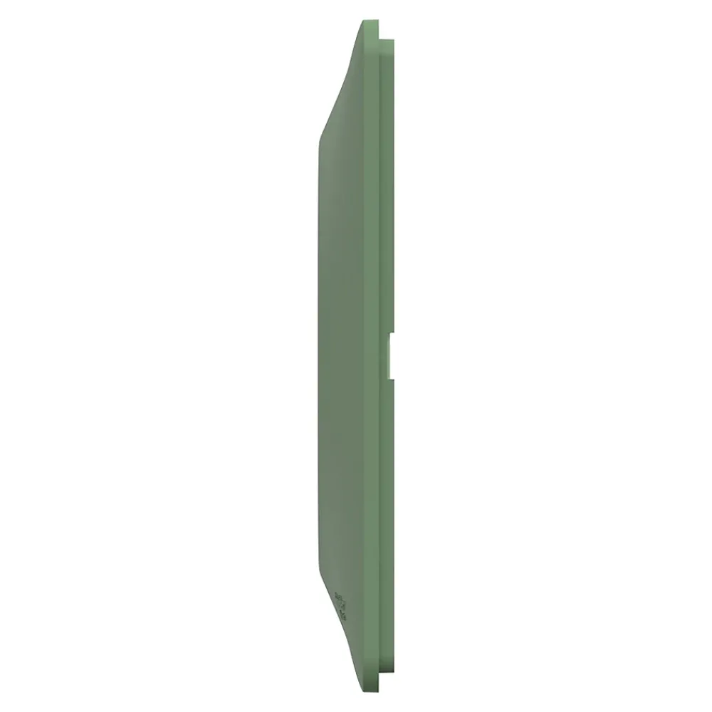 Schneider Electric Plaque de finition 1 poste Ovalis S320702B coloris vert forêt l.87 x P.10 x H.87 mm
