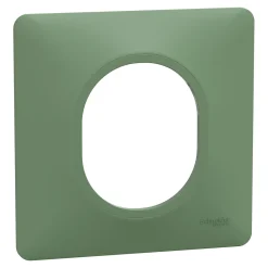 Schneider Electric Plaque de finition 1 poste Ovalis S320702B coloris vert forêt l.87 x P.10 x H.87 mm