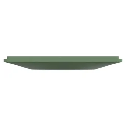 Schneider Electric Plaque de finition 1 poste Ovalis S320702B coloris vert forêt l.87 x P.10 x H.87 mm