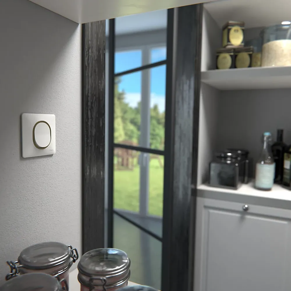 Schneider Electric Plaque De Finition Pour Interrupteur Et Prise À Composer-Plaque de finition 1 poste Ovalis S320702D coloris blanc avec liseré laiton l.87 x P.10 x H.87 mm