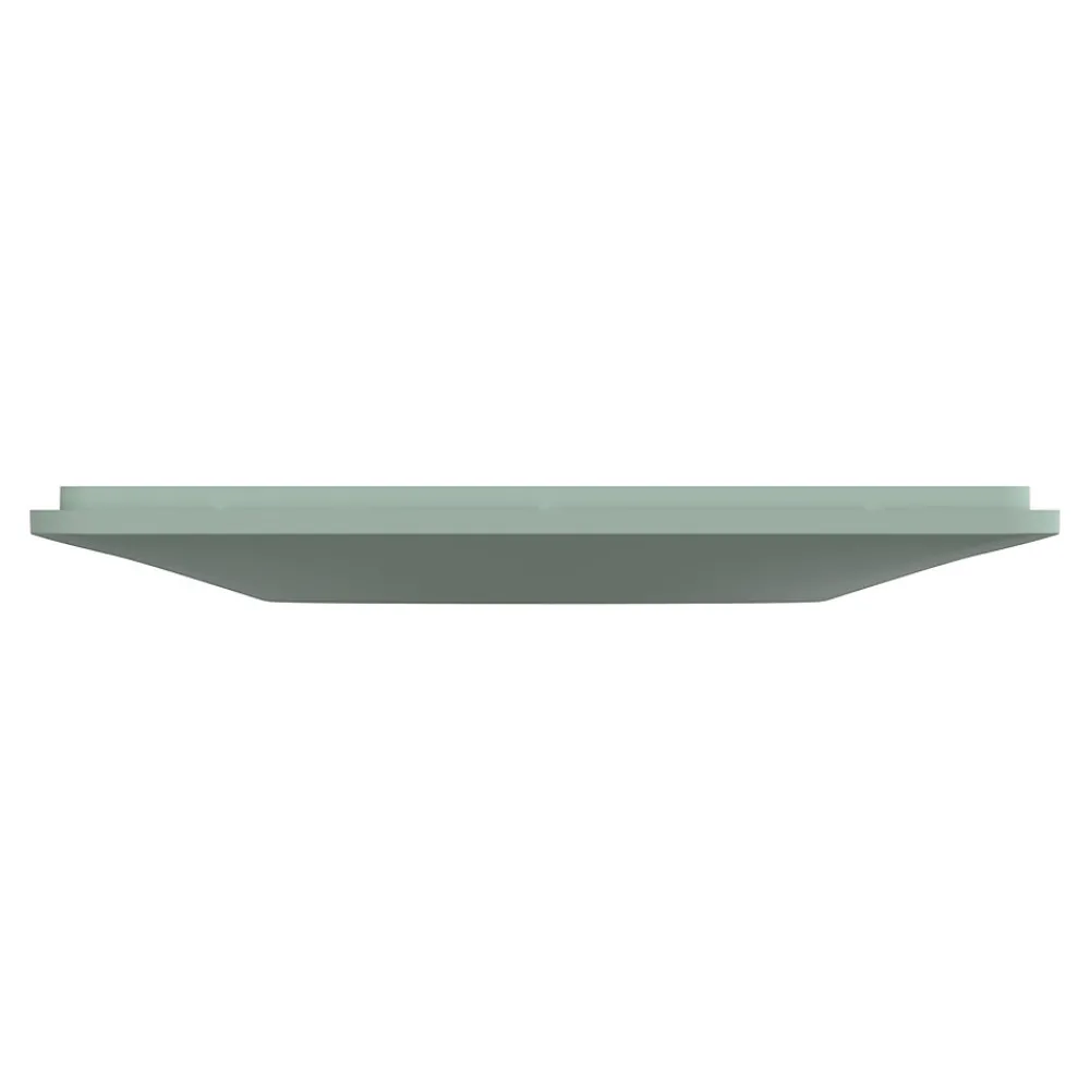 Schneider Electric Plaque de finition 1 poste Ovalis S320702A coloris sauge l.87 x P.10 x H.87 mm