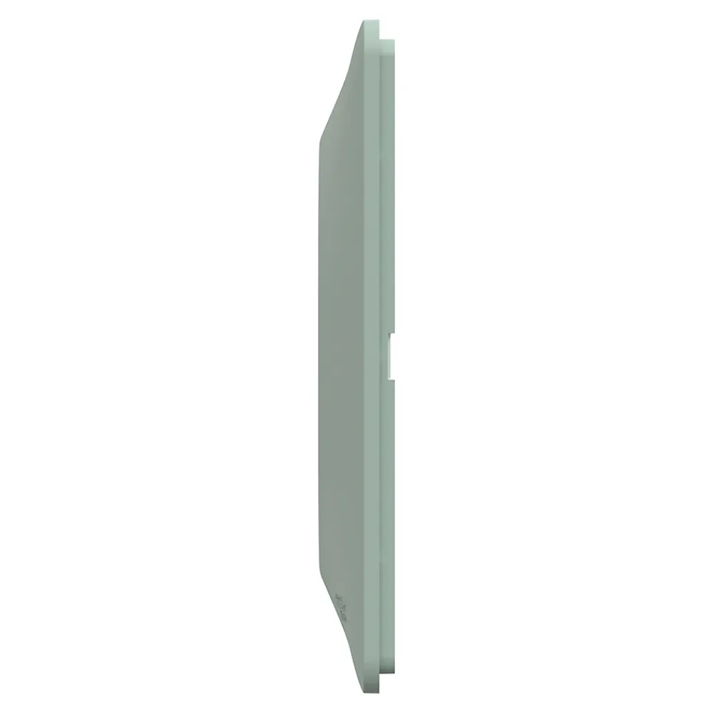 Schneider Electric Plaque de finition 1 poste Ovalis S320702A coloris sauge l.87 x P.10 x H.87 mm