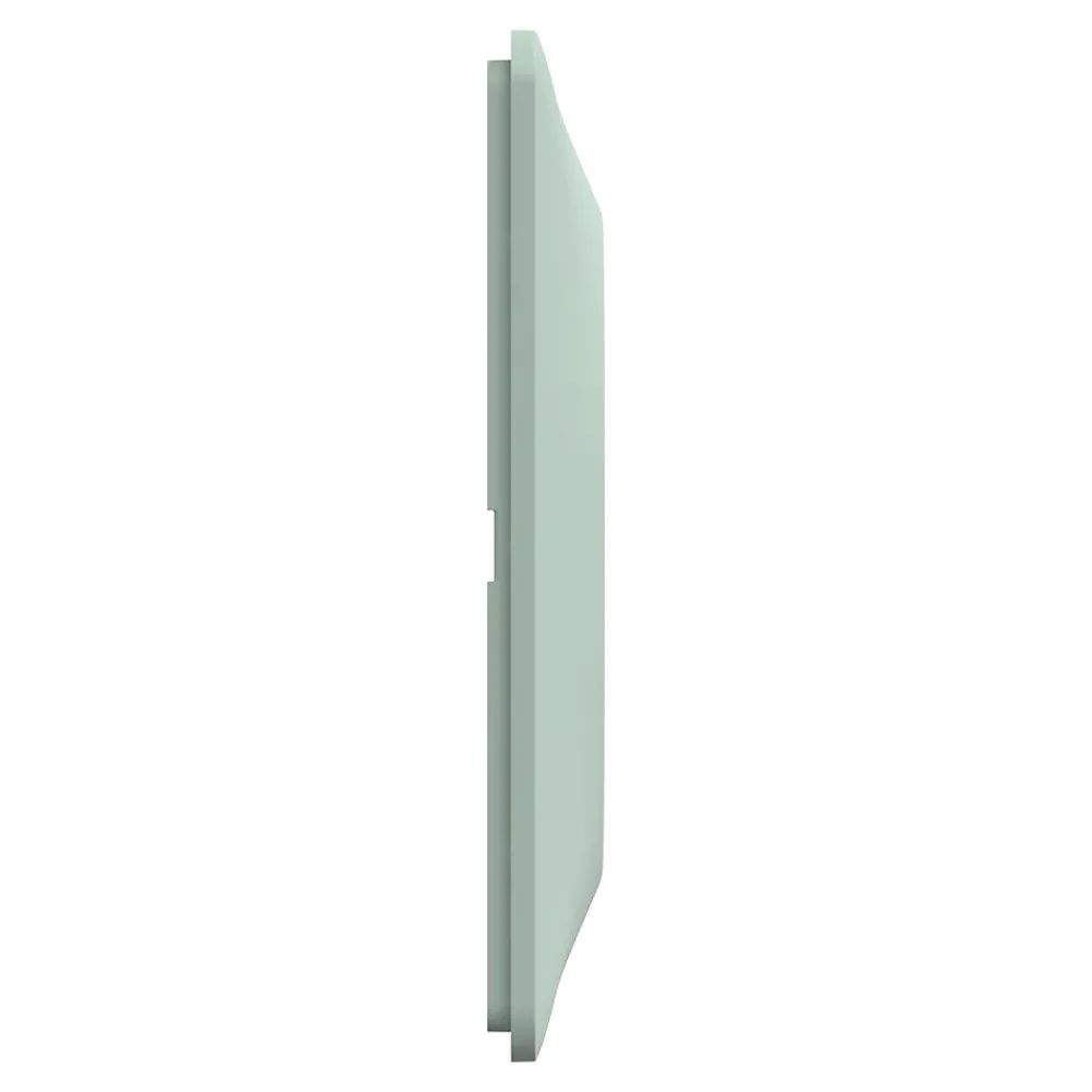Schneider Electric Plaque de finition 1 poste Ovalis S320702A coloris sauge l.87 x P.10 x H.87 mm
