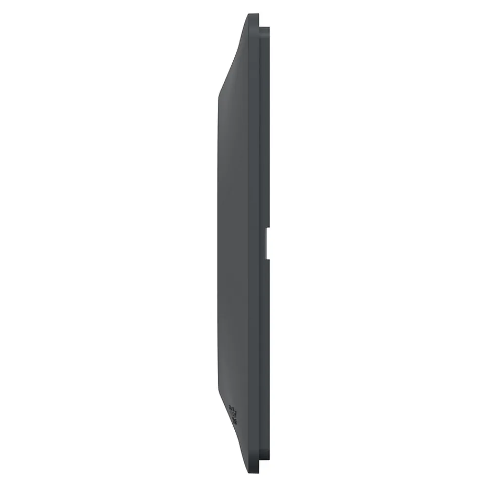 Schneider Electric Plaque De Finition Pour Interrupteur Et Prise À Composer-Plaque de finition 1 poste Ovalis S340702 coloris anthracite l.87 x P.10 x H.87 mm