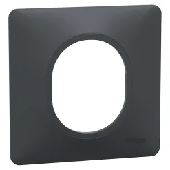 Schneider Electric Plaque De Finition Pour Interrupteur Et Prise À Composer-Plaque de finition 1 poste Ovalis S340702 coloris anthracite l.87 x P.10 x H.87 mm