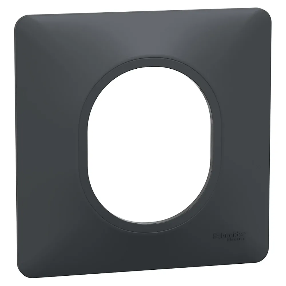 Schneider Electric Plaque De Finition Pour Interrupteur Et Prise À Composer-Plaque de finition 1 poste Ovalis S340702 coloris anthracite l.87 x P.10 x H.87 mm