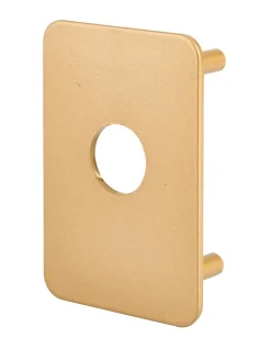Thirard Cylindre De Serrure-Plaque de renfort pour verrou Transit 2 et Capital, epoxy or -