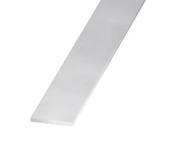 Profilé-Plat aluminium anodisé coloris inox 50 x 3 mm, 2 m