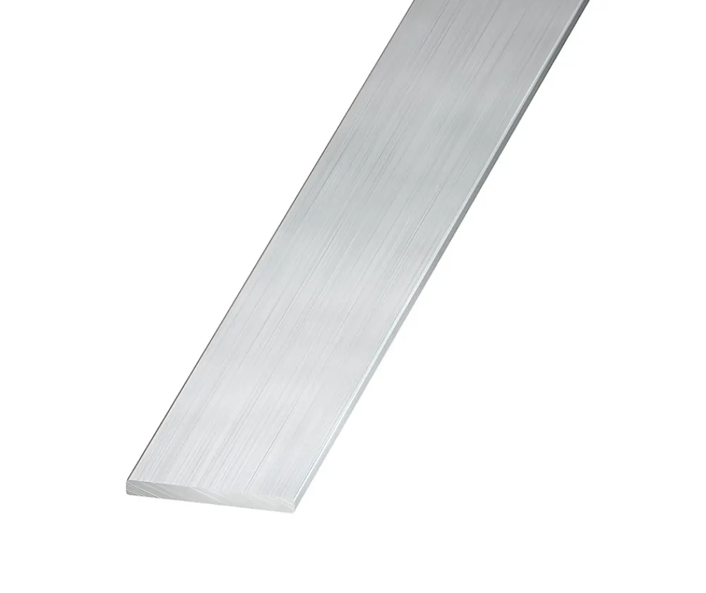 Profilé-Plat aluminium brut effet argenté 40 x 2 mm, 1 m
