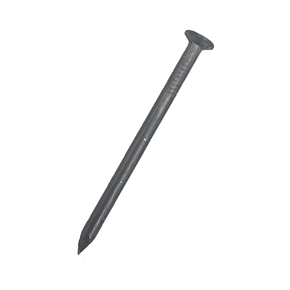 DMS Clou De Charpente-Pointes tête plate acier 6.00 X 160 mm - BTE 5 Kg