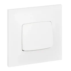 Legrand Poussoir Neptune plastique blanc