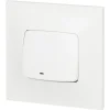 Legrand Interrupteur Encastrable-Poussoir lumineux Neptune plastique blanc
