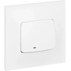 Legrand Interrupteur Encastrable-Poussoir lumineux Neptune plastique blanc