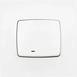 Legrand Interrupteur Encastrable-Poussoir lumineux Neptune plastique blanc