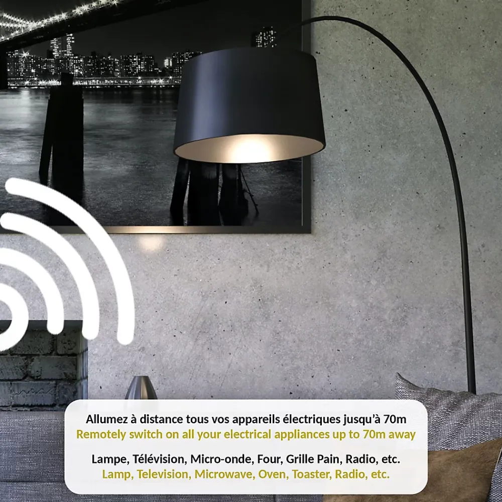 Fishtec Prise commandable à distance Avec Interrupteur