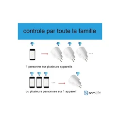 Somlife Prise connectée application tuya smart life contrôle de consommation Compatible avec Alexa/Google Home