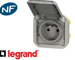 Legrand Prise de courant 16A 2P+T Plexo™ grise composable