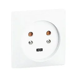 Legrand Prise Encastrable-Prise de courant avec terre 20 A