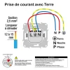 Schneider Electric Prise de courant 2 pôles + terre affleurante 16A Ovalis anthracite