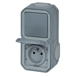 Legrand Prise et interrupteur Plexo gris en saillie