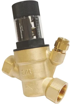 Somatherm for you Accessoire Pour Chauffe-Eau-Réducteur de pression à membrane femelle/femelle 3/4