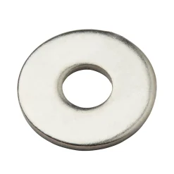 Diall Rondelles plates larges en inox ø 10mm - 10 pièces
