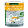 Procom Etanchéité Du Mur Intérieur-Résine étanchéité, imperméabilisation mur intérieur durcisseur -0.75 litres-Incolore