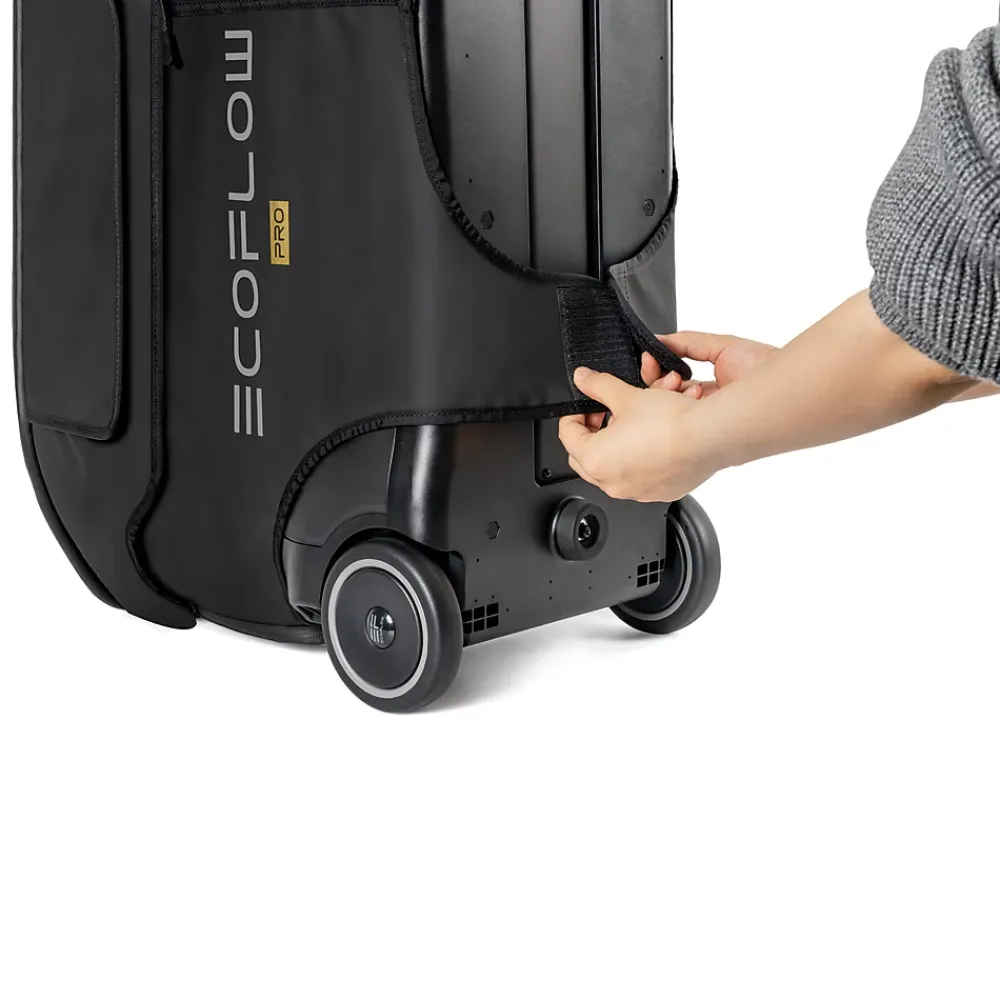 EcoFlow Station Électrique-Sac de rangement pour Delta Pro