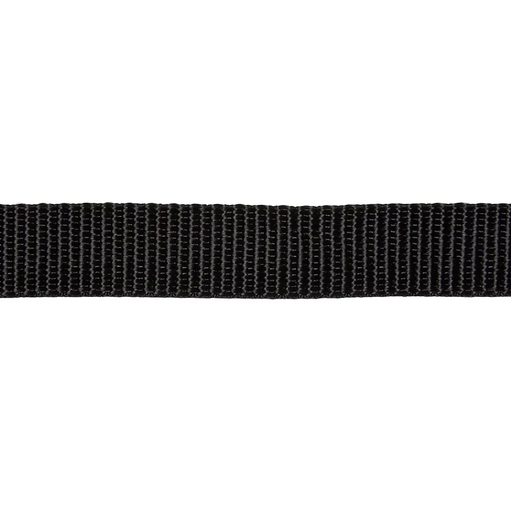 Diall Sangle polypropylène bleue l. 25 mm, 5 m