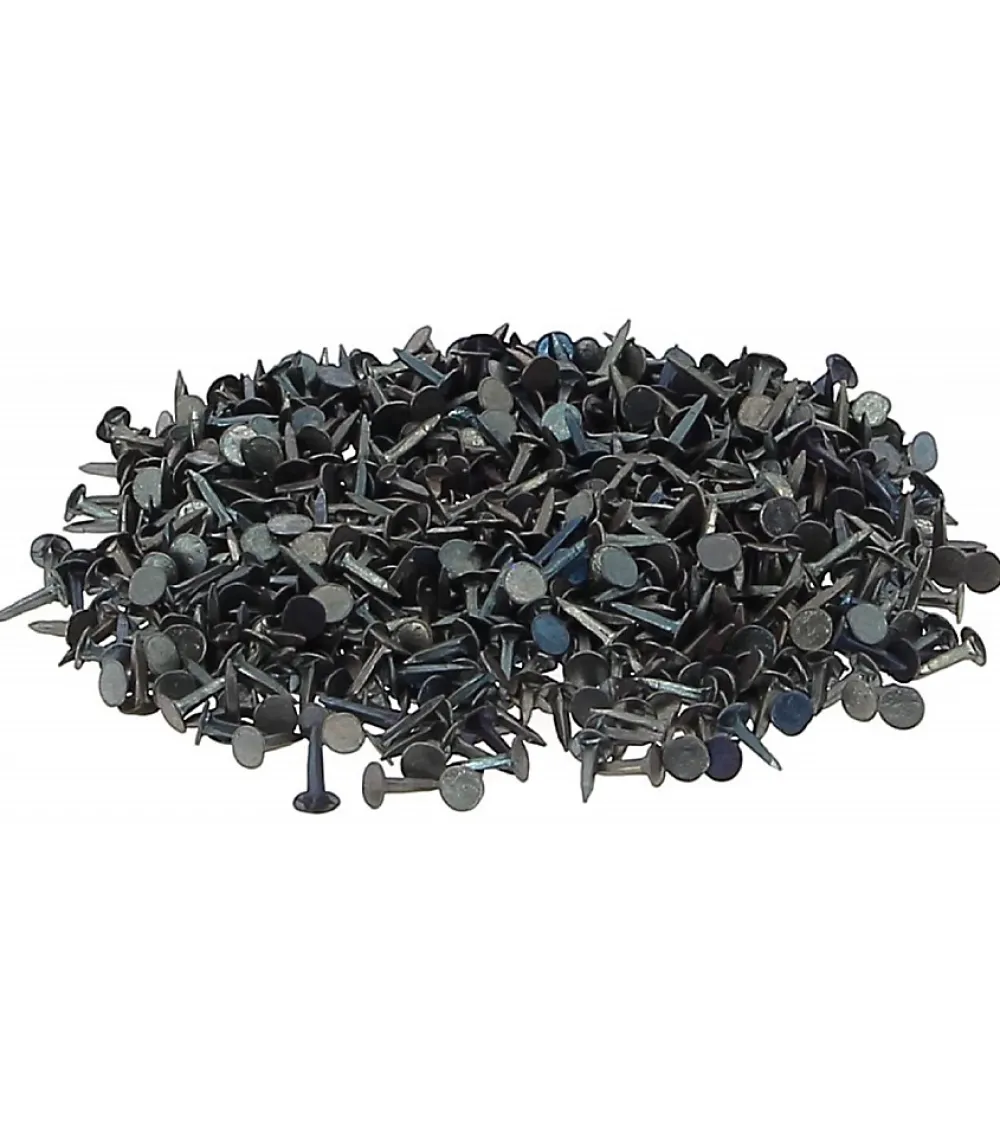 Secodir Semences de Tapissier Acier - Clou diamètre 9 mm - Boîte 200g