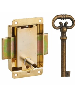 Thirard Serrure de meuble en applique pour porte d'ameublement, axe 20mm, 40x50mm, laiton, 1 clé -