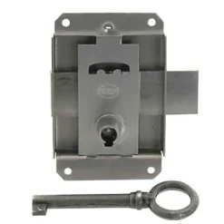 Diall Serrure à patte axe 25 l. 45 mm x H. 50 mm x ep. 10 mm acier poli