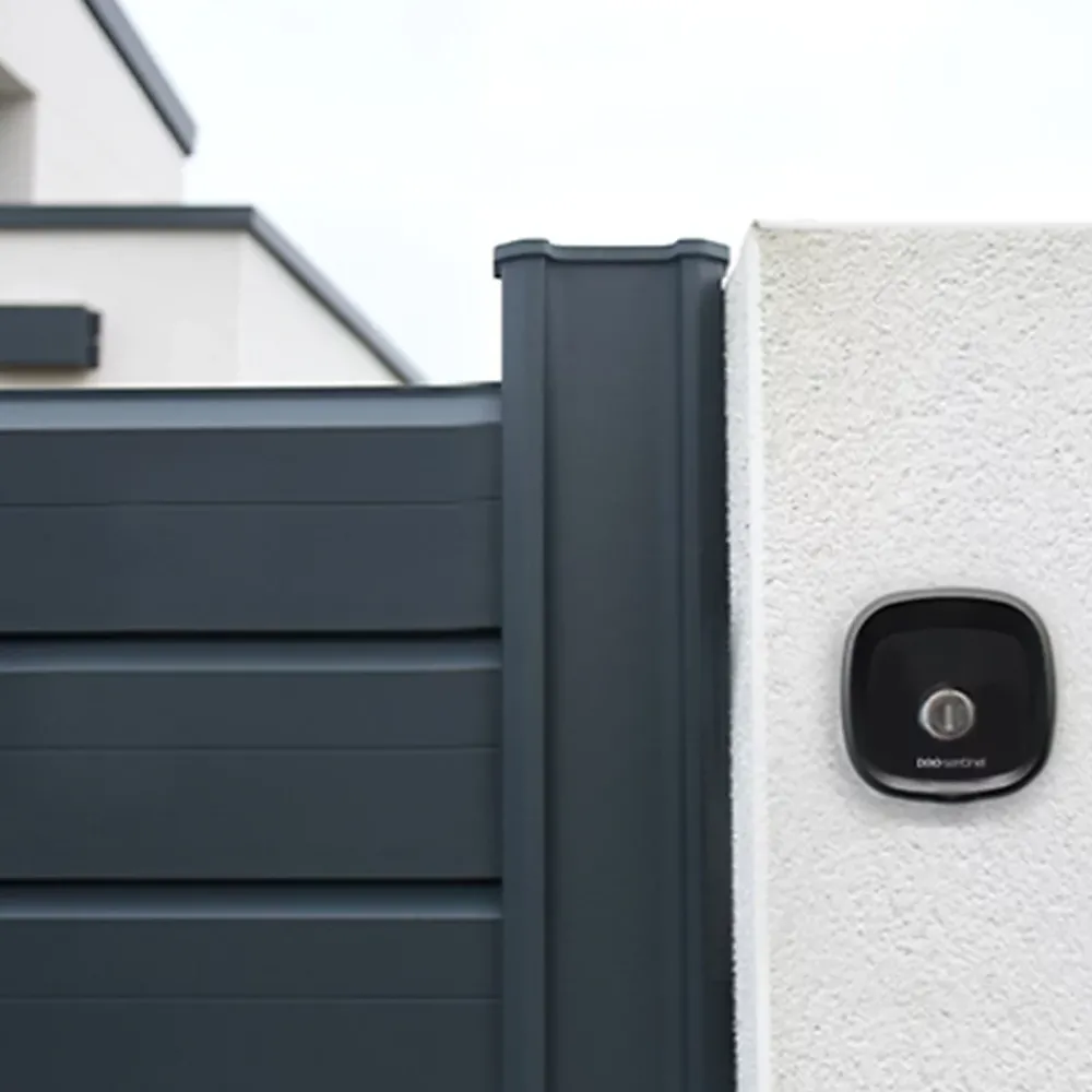 SCS Sentinel Sélecteur à clé sans fil pour portail Keygate