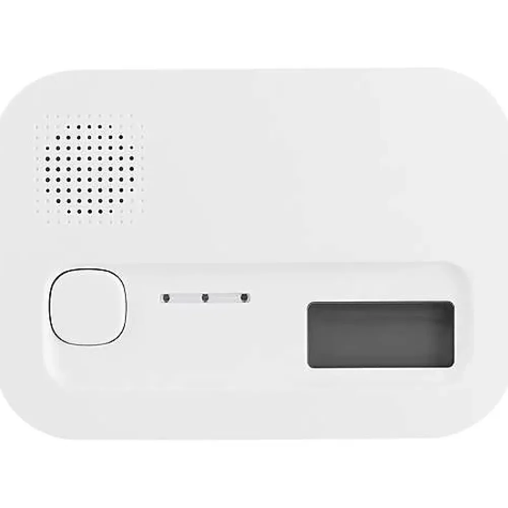 3M France Détecteur De Monoxyde De Carbone Et Gaz-Smartwares FSE-19204 kit sécurité - détecteur de fumée et détecteur de monoxyde de carbone, pile remplaçable, durée de vie 10 ans