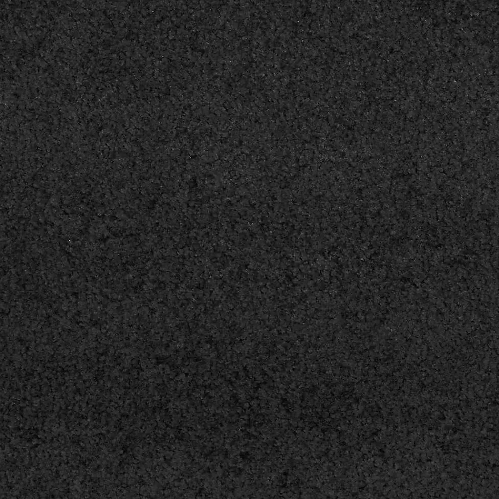 Vidaxl Tapis d'entrée Autre Noir 120 x 400 cm Polyamide et PVC