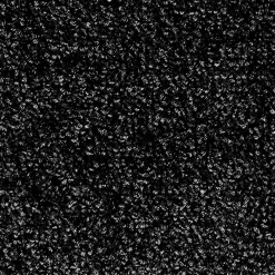 Floordirekt Tapis de Porte Paillasson d'entrée Monochrom Noir 200 x 200 cm