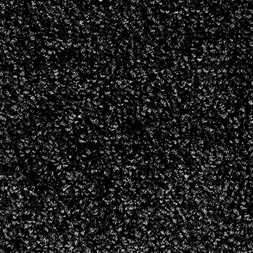 Floordirekt Tapis de Porte Paillasson d'entrée Monochrom Noir 200 x 200 cm