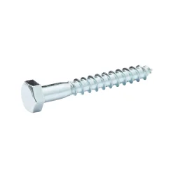 Diall Tirefond-Tirefonds DIN 571 zingués 8x60 mm - 10 pièces
