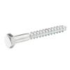 Diall Tirefond-Tirefonds DIN 571 zingués 8x70 mm - 100 pièces